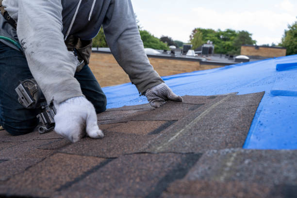 Best Gutter Installation and Roofing  in Stockton, KS